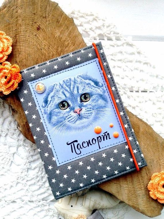 прописка в Мончегорске